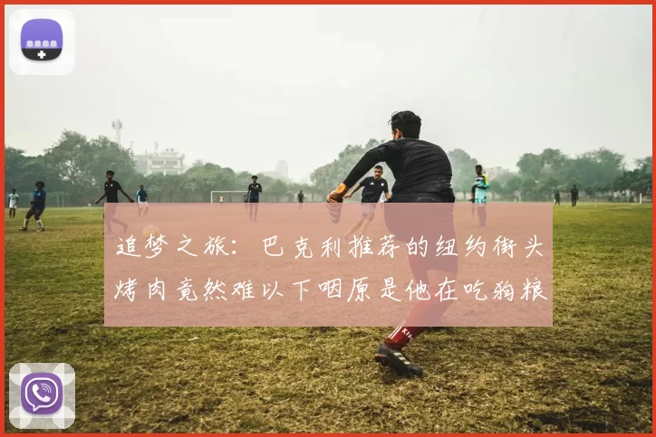 追梦之旅：巴克利推荐的纽约街头烤肉竟然难以下咽原是他在吃狗粮
