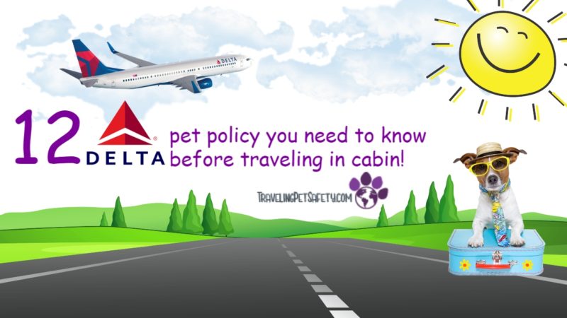 12 Delta pet policy you need to know before traveling in cabin 1