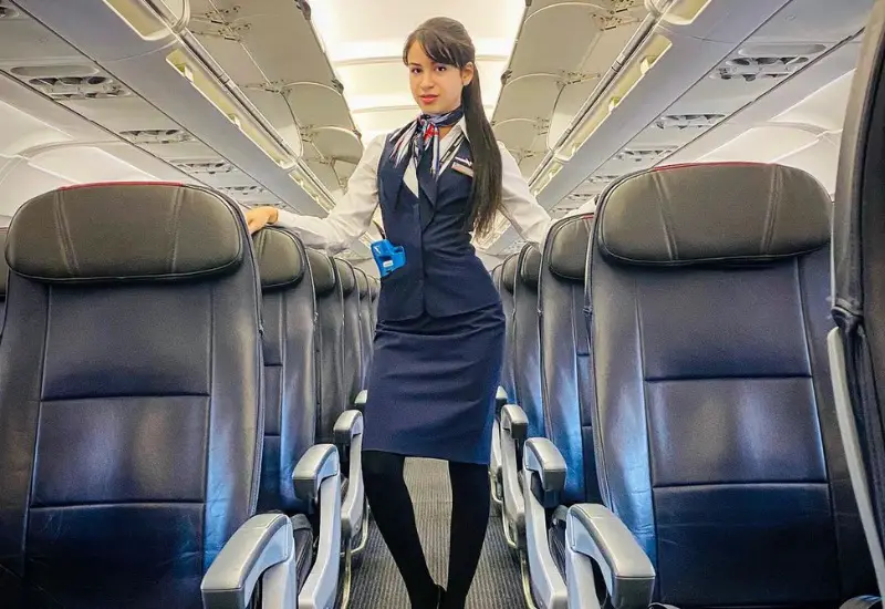 aa flight attendants requirements