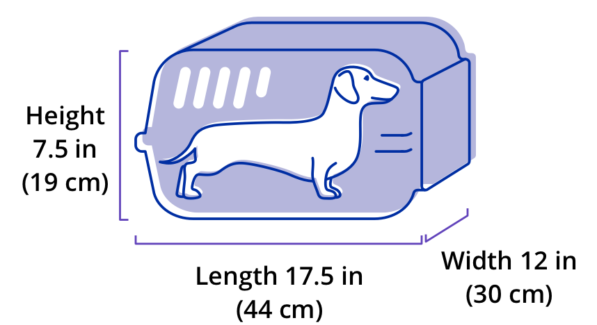 United Airlines' Traveling With Pets: Everything You Need to Know